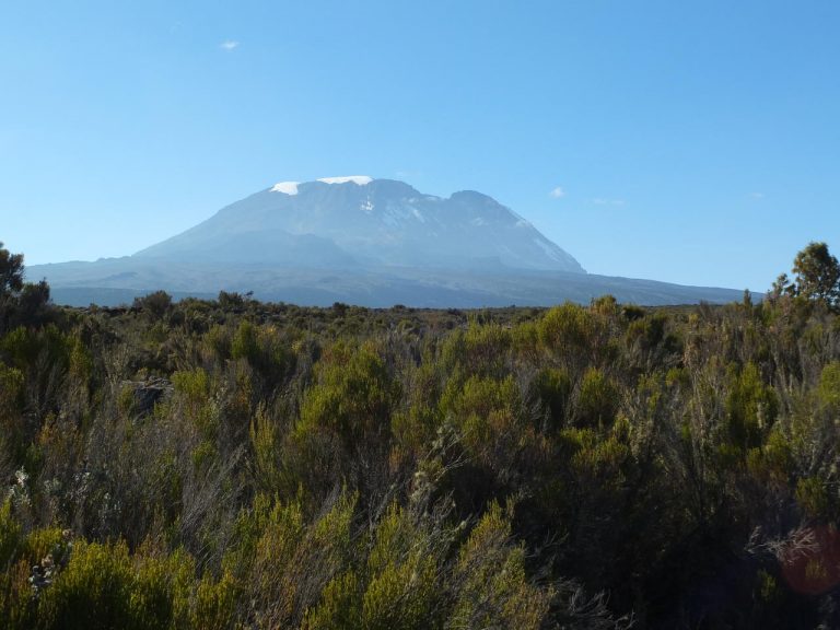 lopend over kleine paadjes met ruige begroting aan de zijkant onderweg naar het Shira Plateau kijken we uit op de top van de Kilimanjaro met sneeuw
