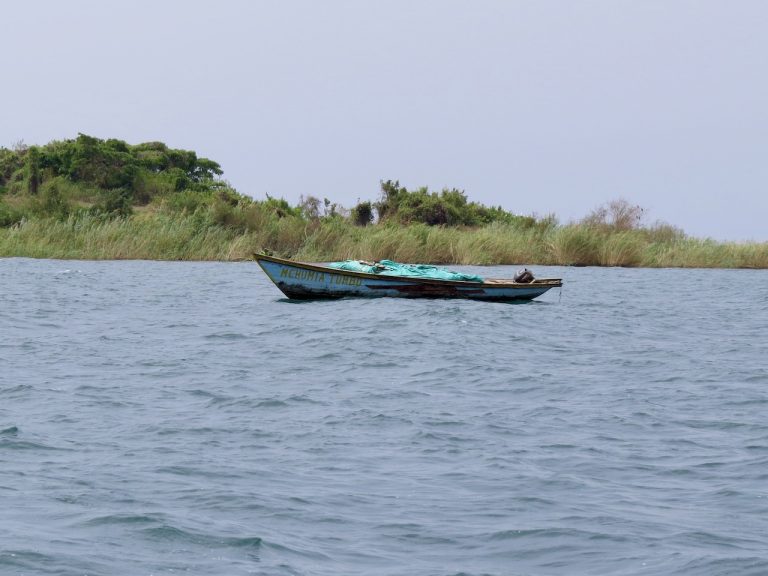 uitzicht op het meer Tanganyika met een vissersboot in het water en daarachter een groene strook met hoog gras