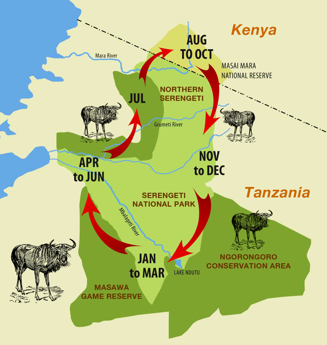 kaart van de grote migratie in Tanzania.