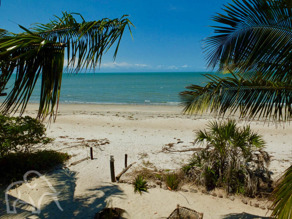 palmboom takken op de voorgrond met verderop een zandstrand en de indische oceaan bij Saadani tanzania