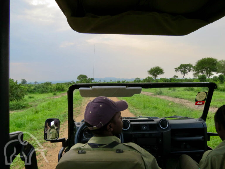vanuit een open safari auto kijkend over de chauffeur naar het groen landschap van MIkumi
