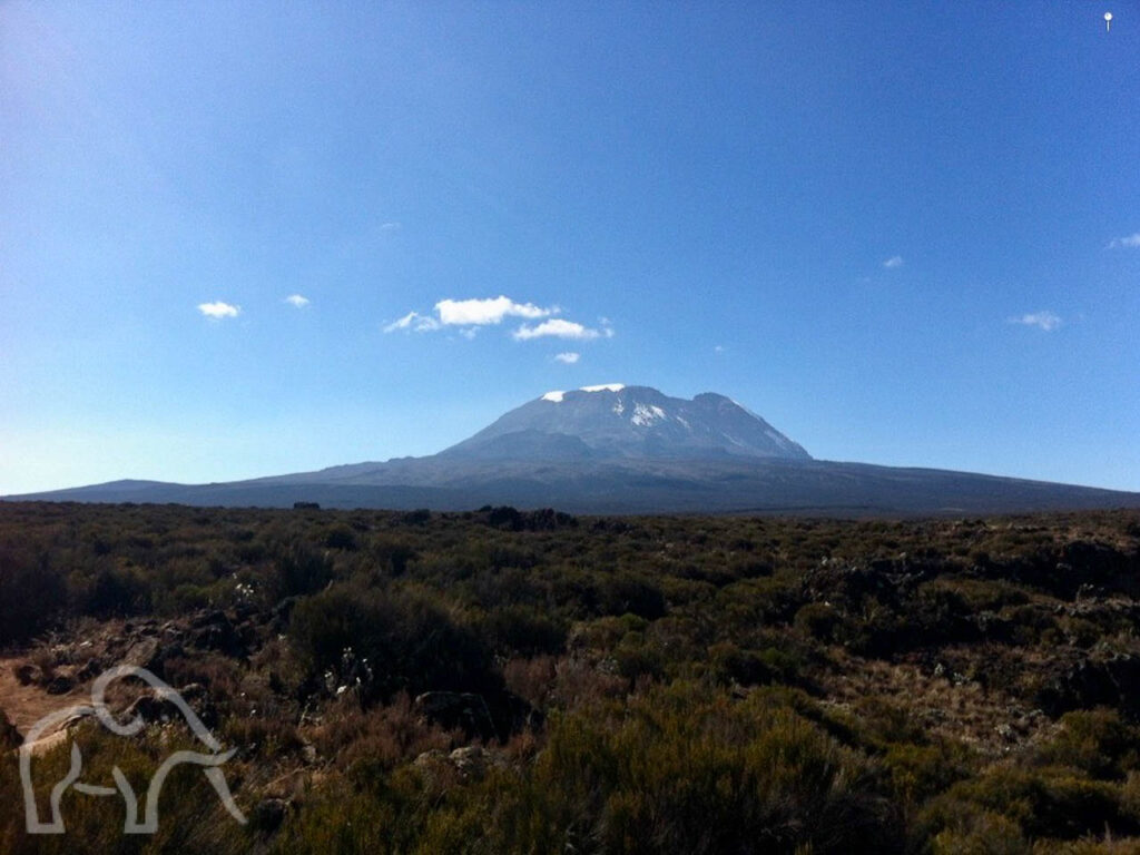 uitzicht op de wolkeloze witte top van de kilimanjaro tijdens een wandeling naar het shira plateau