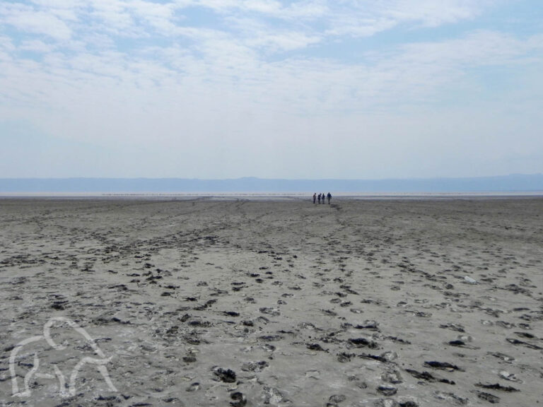 voetafdrukken in de modder op de bodem van het nu bijna droge meer van Lake Eyasi met aan de horizon 4 mensen die verder naar het meer lopen