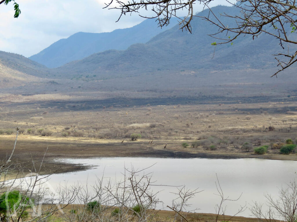 landschap bij Mkomazi met het meer en daarachter hoge bergen