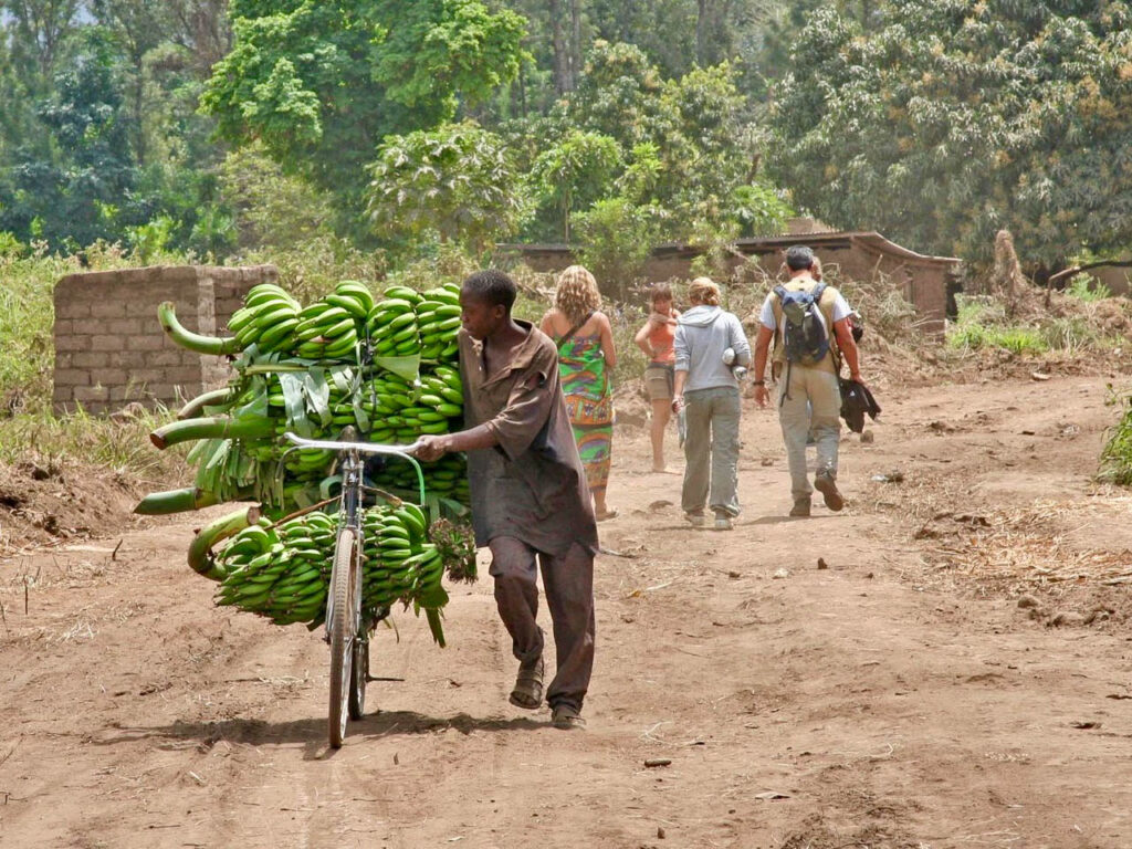 onverharde weg met lopende man en fiets volste bananen trossen in Mto wa Mbu