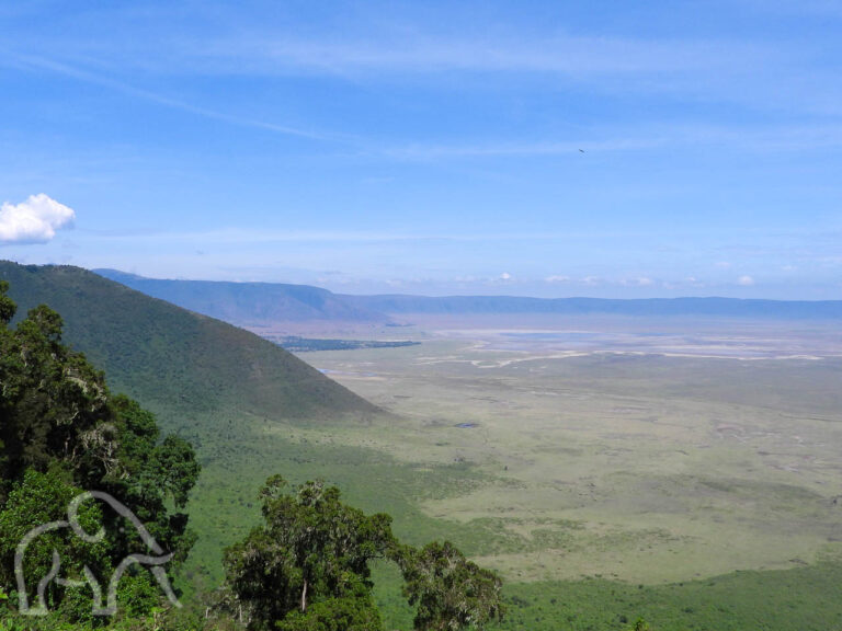 vanaf een hoog uitzichtpunt op de rim kijk je in de ngororngoro krater