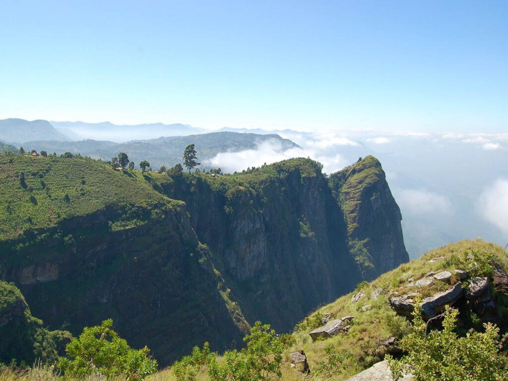groen bergen met diepe kloven en op de top heel ver weg een klein groepje olifanten op de top van bij Usumbara Mountains
