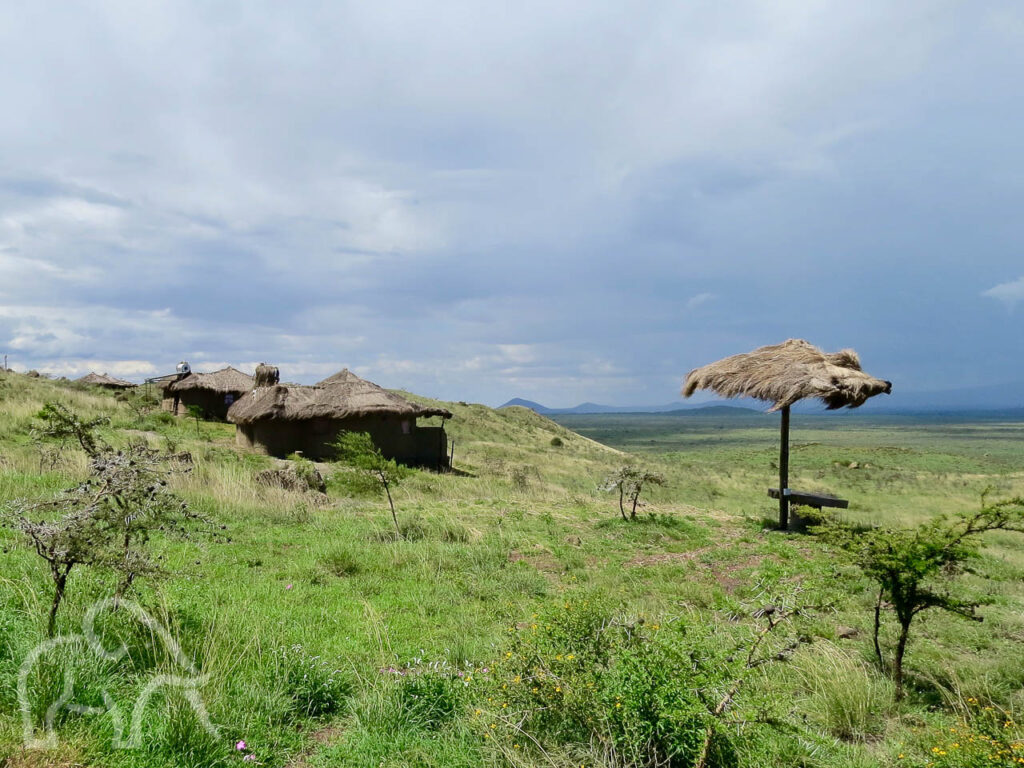 huisje in de vorm van een masai boma met rietendak op de helling van een groene berg met uitzicht voerde vlaktes naar de kilimanjaro