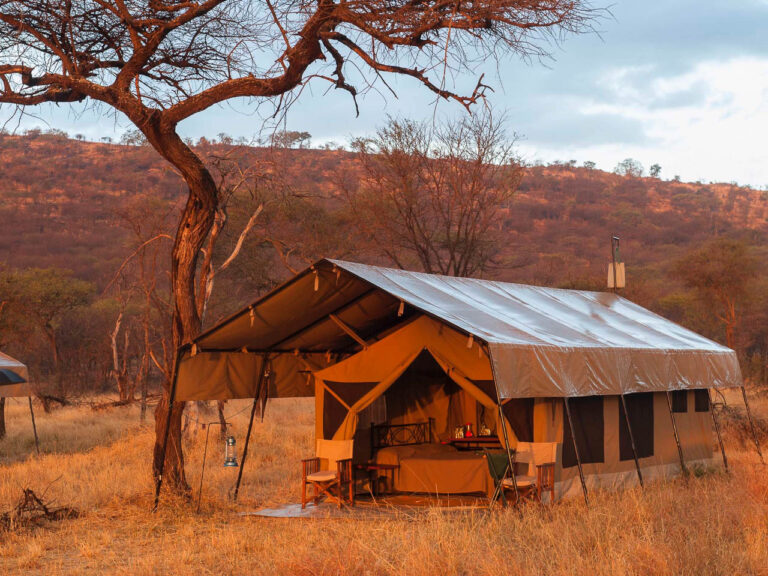 inkijk in safari tent met veranda en open geslagen deurflappen met daarbinnen een bed dit alles met een oranjegloed door de zonsondergang
