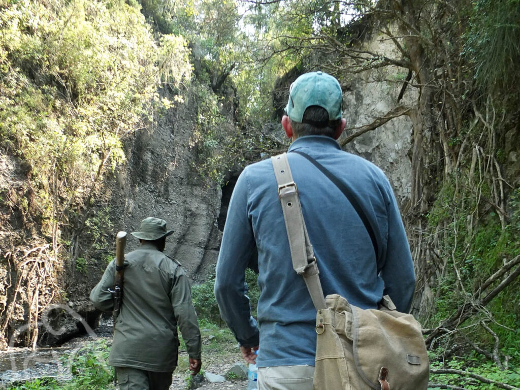 twee mannen waarvan een ranger met wapen lopend door een groene omgeving van arusha national park tanzania