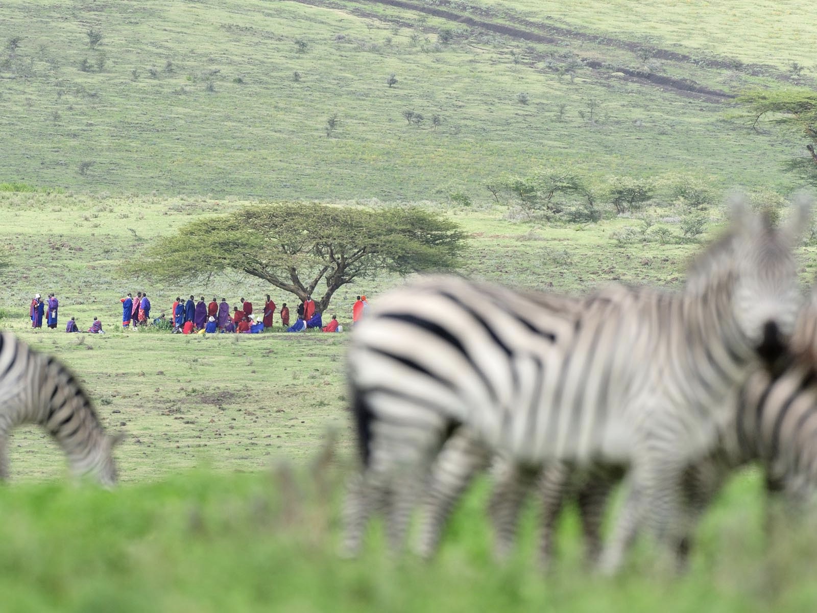 Safari Tanzania Masai Huwelijksreis