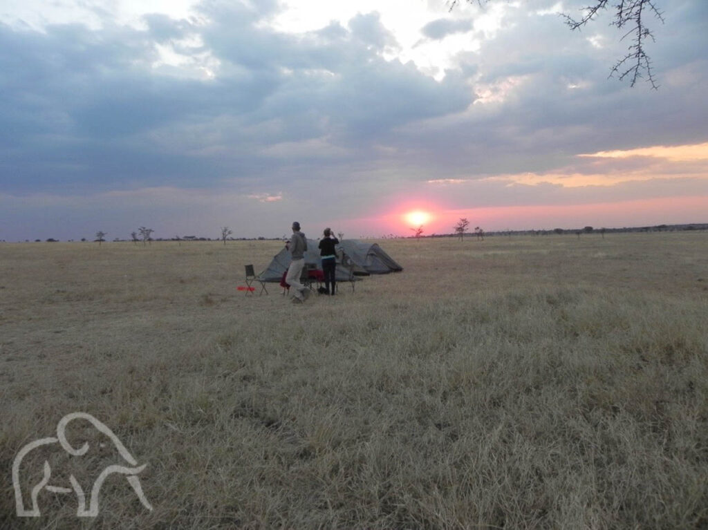 special campsite op de Serengeti met dor gras en man en meisje die kijken naar de zonsopkomst