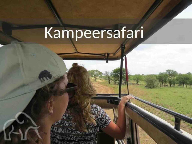 15 daagse kampeer en lodge rondreis door Tanzania en daarna naar Zanzibar. Met vrienden. Tijdens deze rondreis staan 2 mensen in de safariauto wilde dieren te spotten