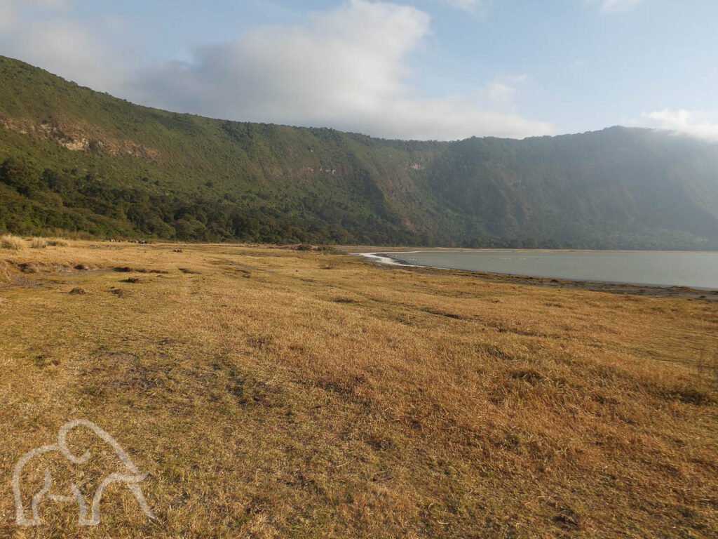 aan de rand van het meer met goodgeel gras en de kraterrim van de empakrai krater in de ngorongoro gebied