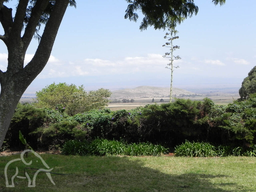 van de veranda uitzicht over het gras dan groene struiken met daarachter een vlakte en de kilimajaro tanzania