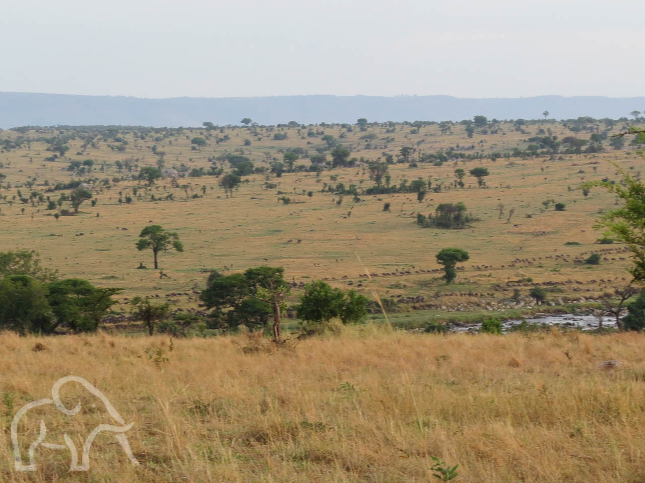 vanaf het terras welke gemaakt is op een plateau hoog bovenop een landrover een fantastisch uitzicht op de mara rivier oude migratie te spotten