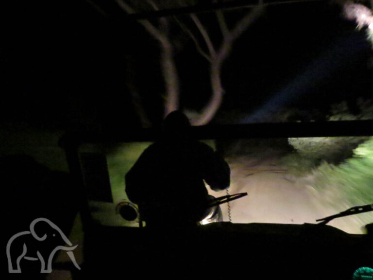 nightgamedrive vanuit de auto zien we een man voorop de auto zitten met een lamp om zo dieren te spotten in het donker