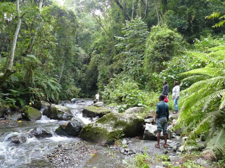 Drie mensen die op rotsen staan aan de oevers van een rivier kijkend naar mensen in de rivier vlakbij arusha tanzania