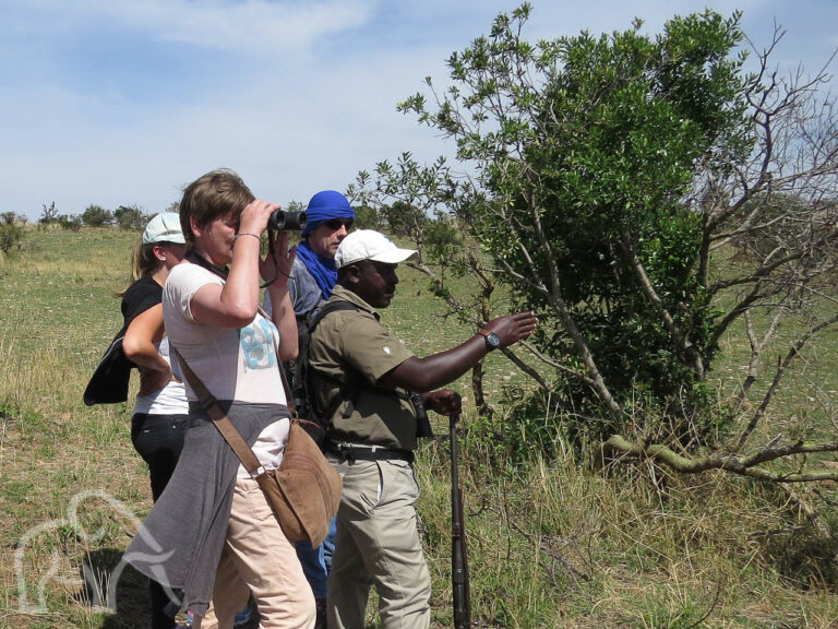 een meerdaagse wandelsafari waarbij een vrouw met verrekijker en gids die wijst en man die luistert op de vlakte van de serengeti