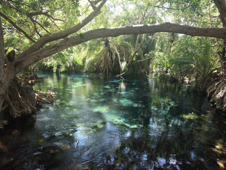 water van de chemka hot-springs in een dicht bos in tanzania