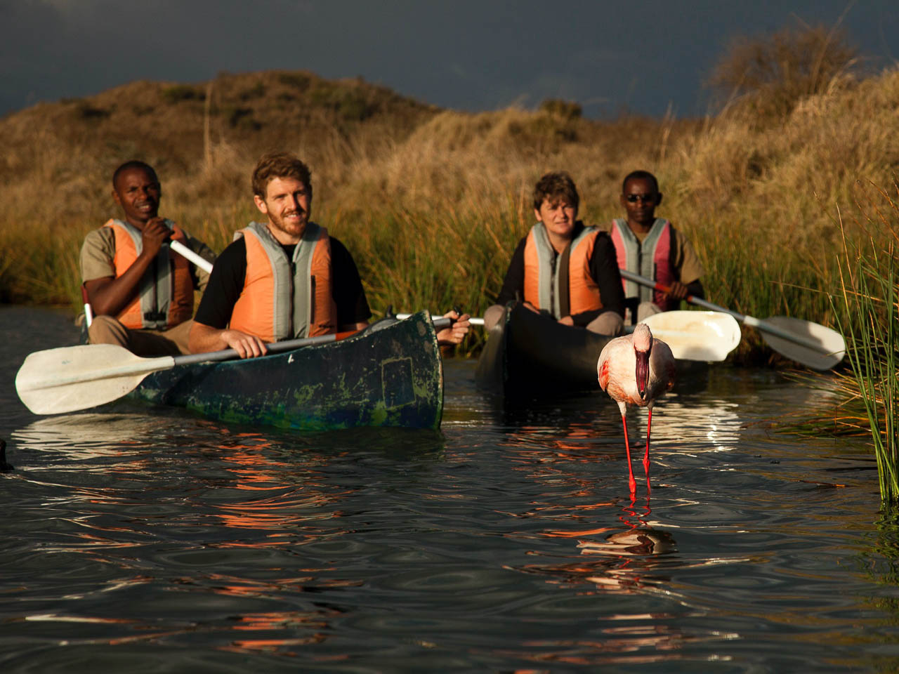 flamingo in het arusha national park met daarachter vlakbij twee kano's met vier personen die naar de flamingo kijken Tanzania