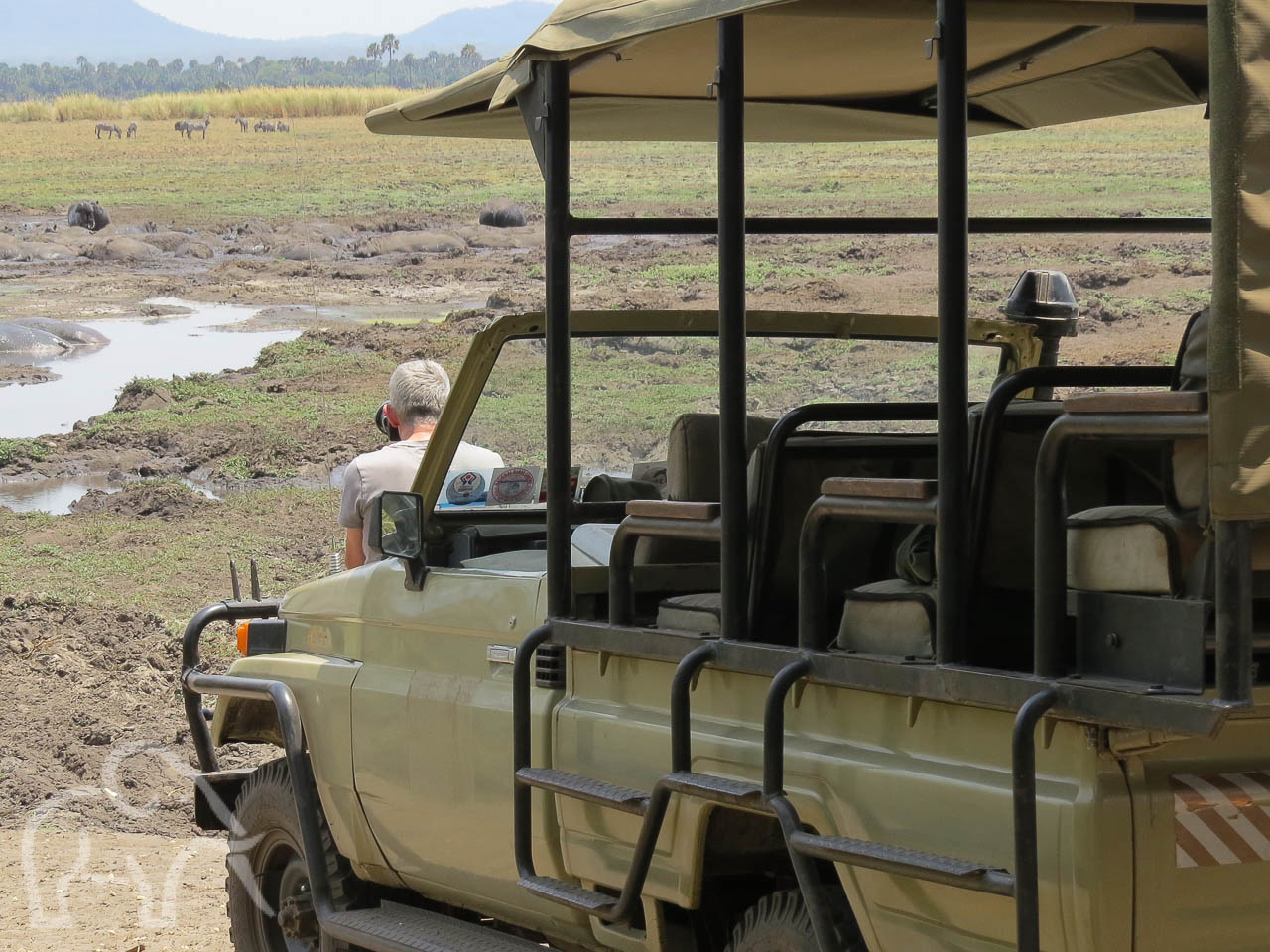 open safari auto met canvas dak met daarvoor een man met camera en heel veel hippo's in een poel bij katavi tanzania
