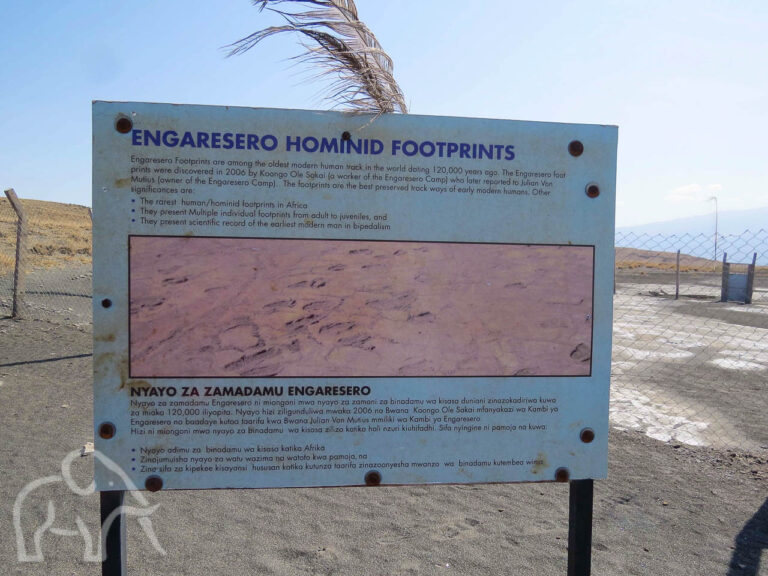 informatie bord over de Engaresero homonid footprints de oudste voetafdruk vlakbij lake natron tanzania