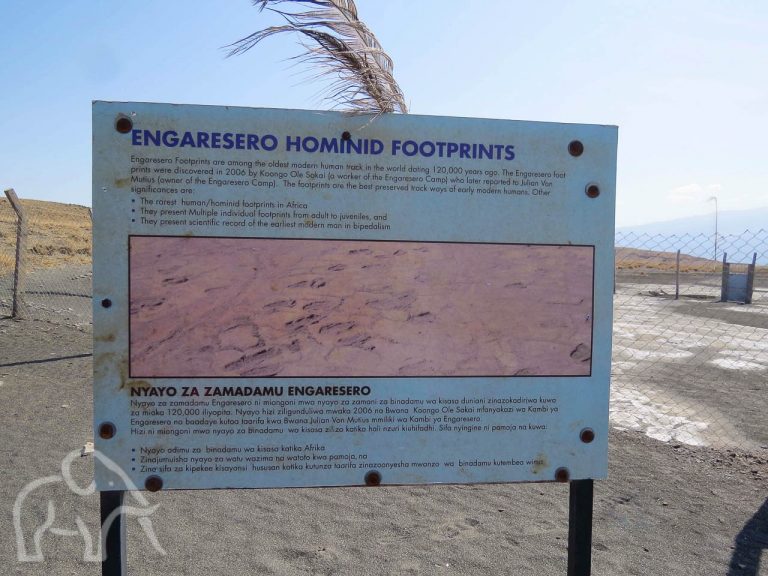 informatie bord over de Engaresero homonid footprints de oudste voetafdruk vlakbij lake natron tanzania