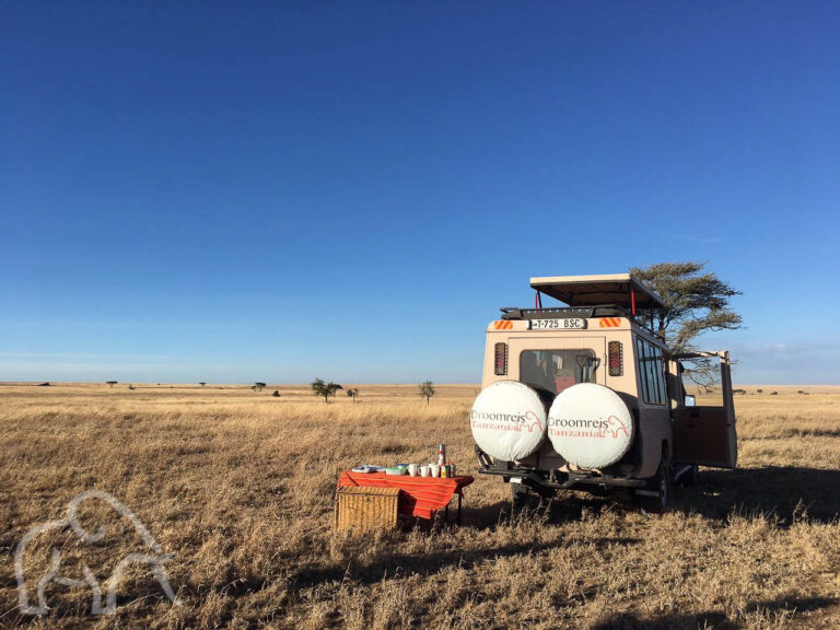 grote vlakke vlakt met hier en daar een boom met op de voorgrond een gedekte ontbijttafel en de safariauto ernaast klaar voor een ontbijt tijdens de gamedrive oude serengeti