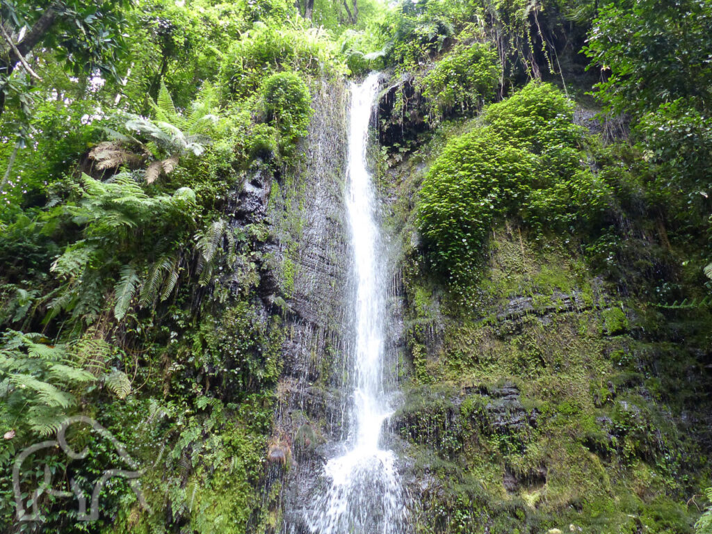 waterval van 50 meter met veel water in een hele groene omgeving met varens en schimmels bomen in de buurt van arusha