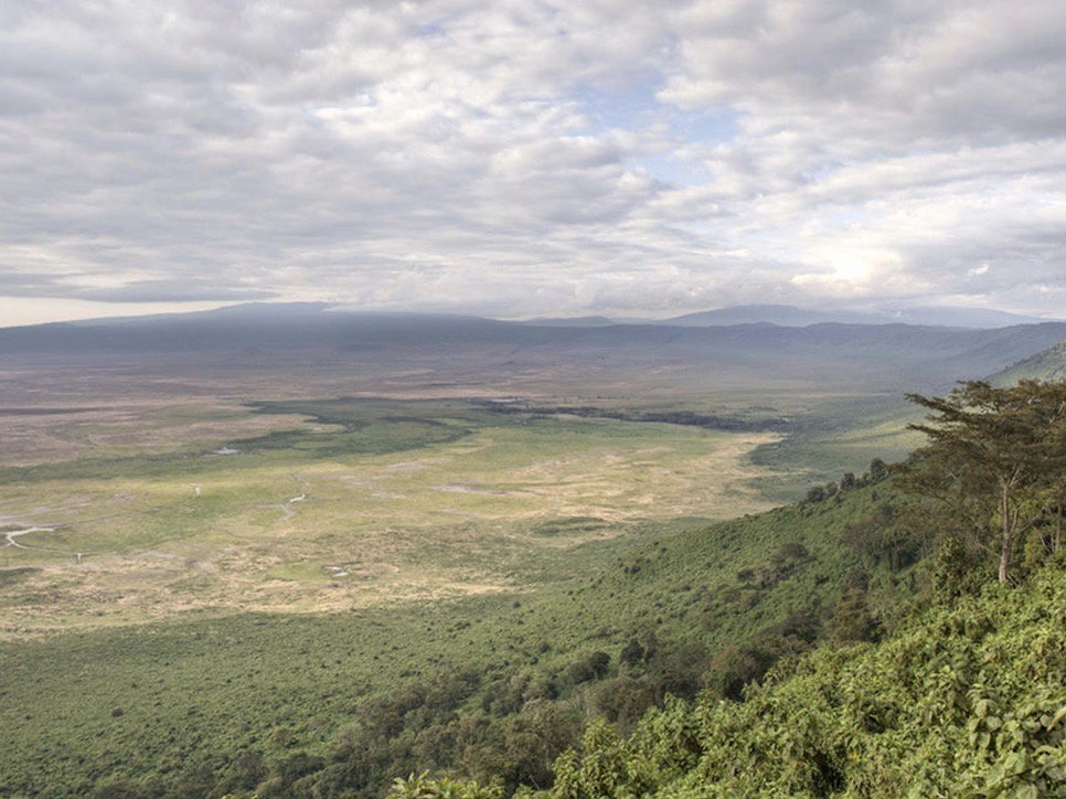 uitzicht over en in de Ngorongoro krater vanaf de rim