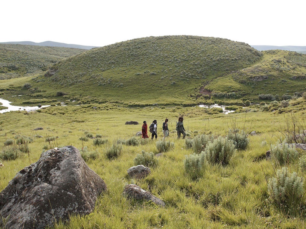 vier mensen die een wandeling maken in de Olmoti krater tanzania