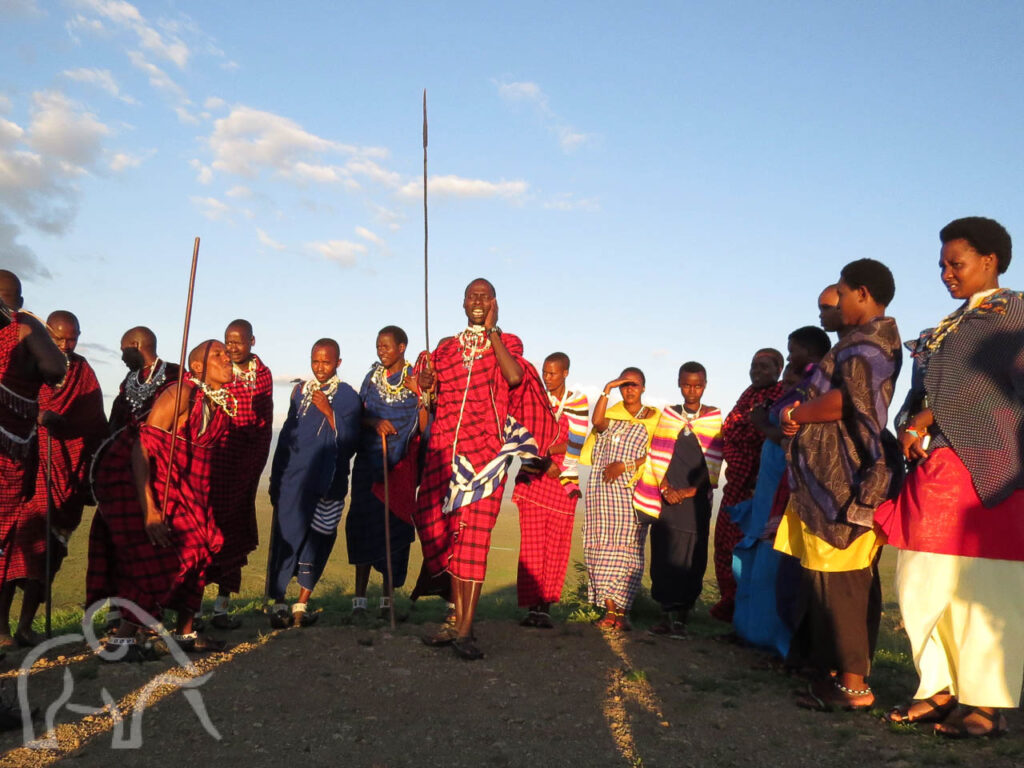 bezoek aan dansende en zingende masai met speren en felgekleurde kleding