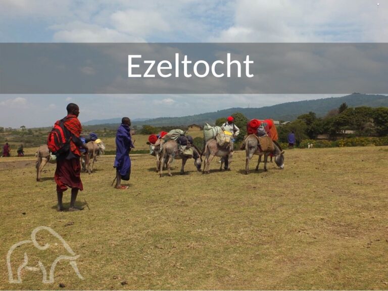 Tanzanianen met ezels die de bagage vervoeren bij de meerdaagse wandeltocht naar lake natron tanzania