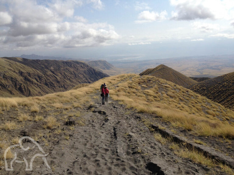 gezin met jonge kinderen en gids onderweg over de toppen van de bergen tijdens Empakai naar Lake Natron meerdaagse wandeling tanzania