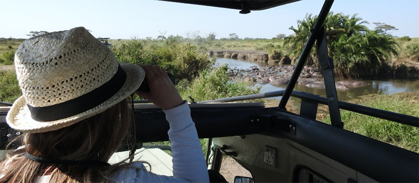 Vrouw met verrekijker kijkend op de Mara rivier met allemaal hippo's vanuit de safari auto