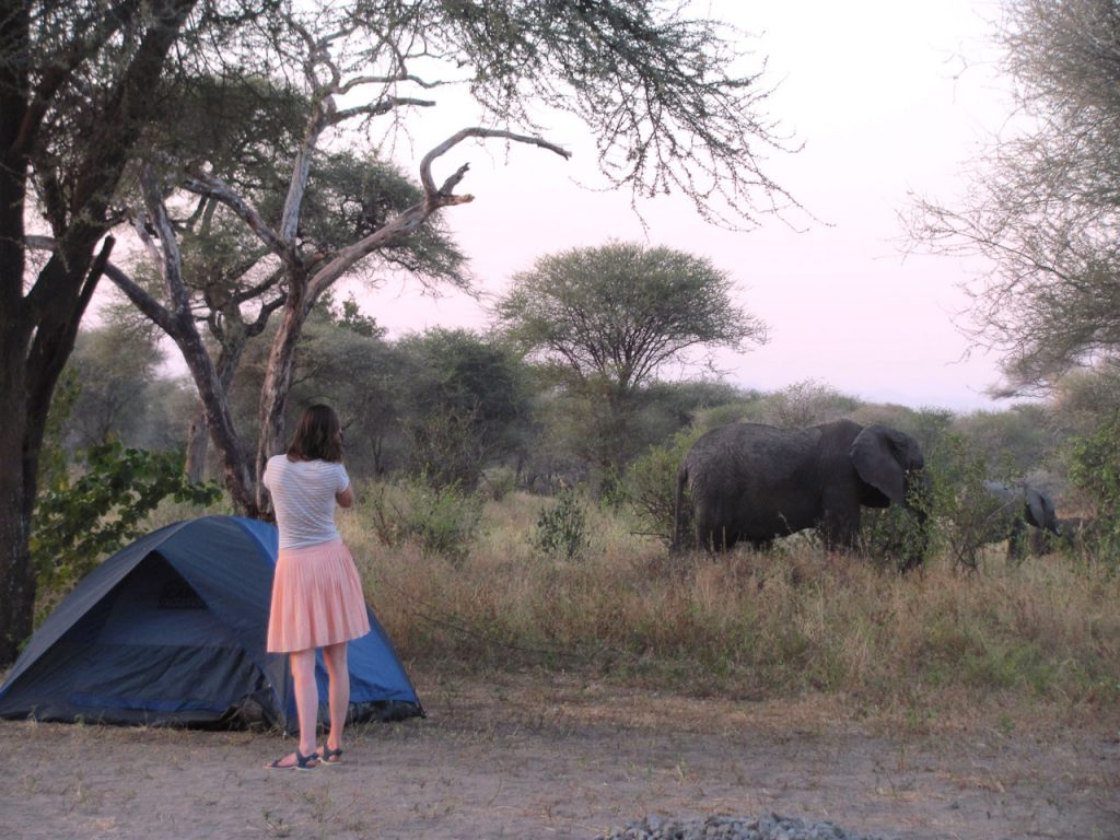 Je staat op de camping en de olifanten lopen achter je tentje