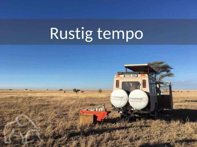 Rondreis Tanzania. Picknicken bij de safari auto op de eindeloze vlakten van de Serengeti