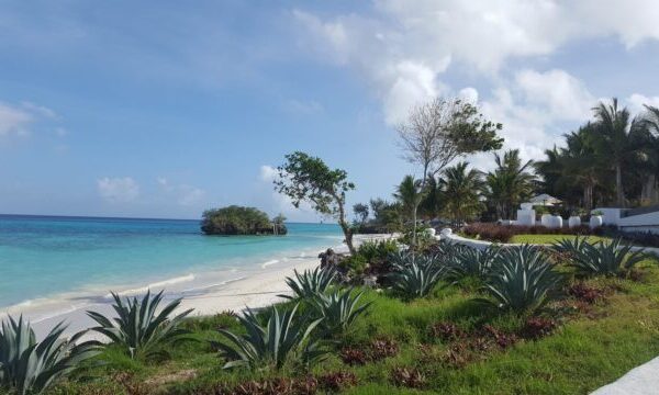 uitzicht vanaf lodge over het strand met veel groen en azuurblauwe zee pemba tanzania familie met oudere kinderen