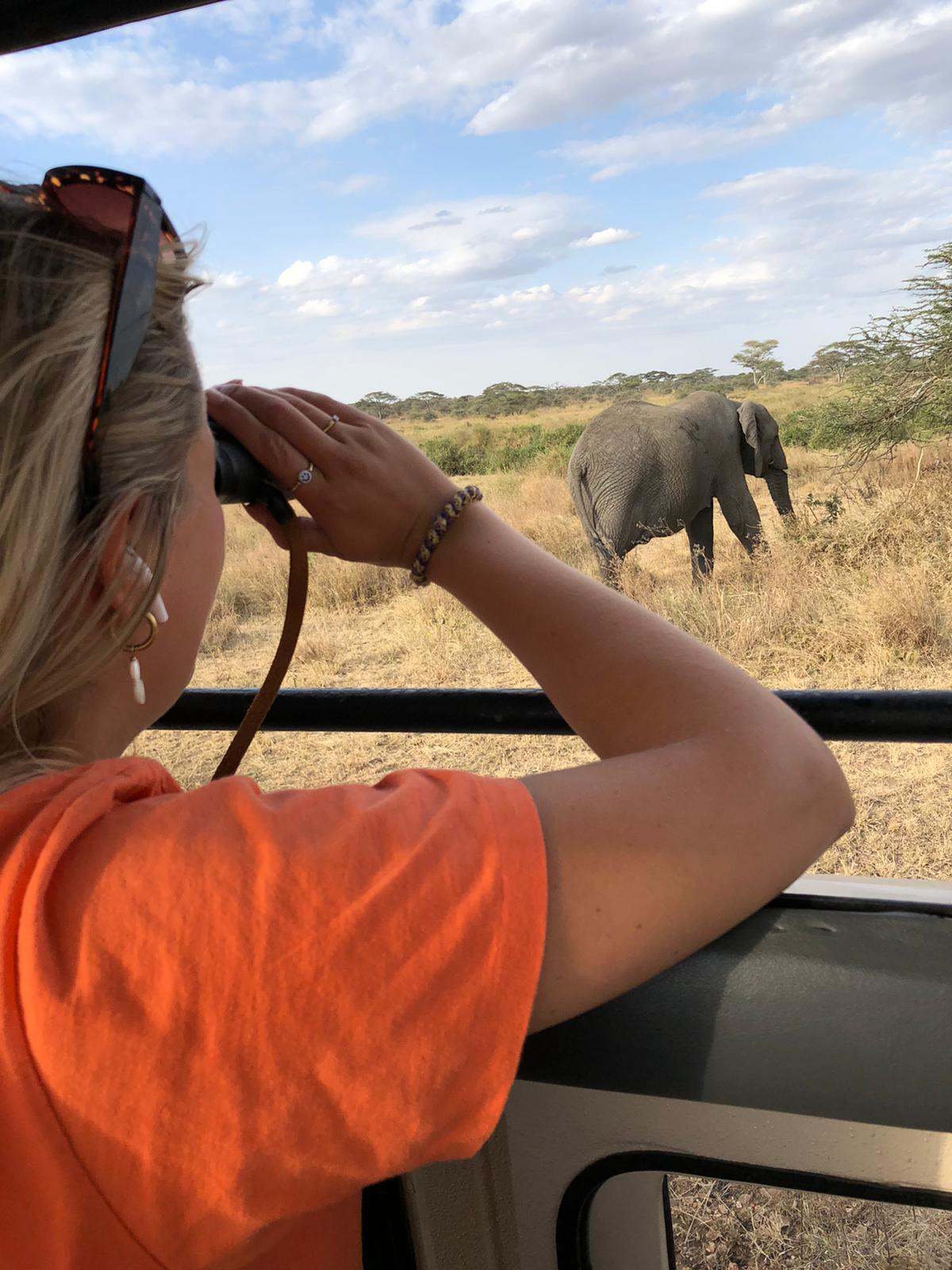 Reiservaring safari Tanzania. Een vrouw staand in de safari auto die met een verrekijker naar een olifant kijkt in Tarangire National Park in tanzania