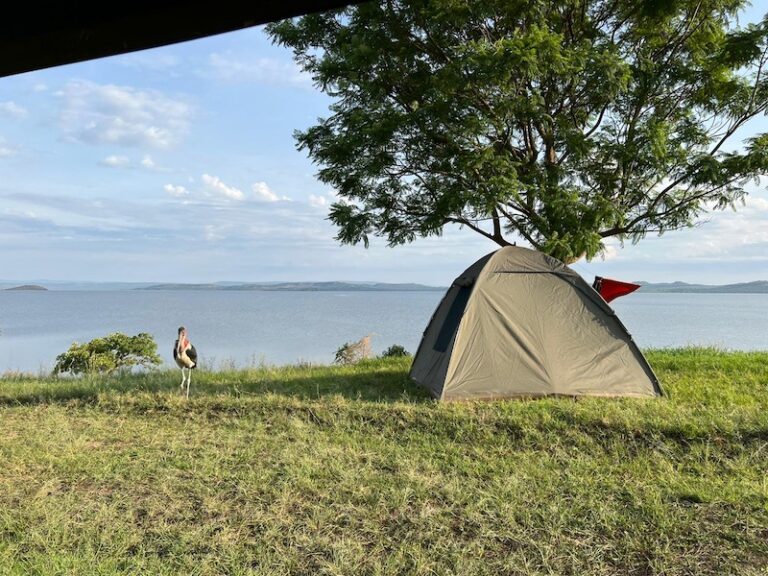 koepeltentje bij het Burigi-Chato meer in Tanzania