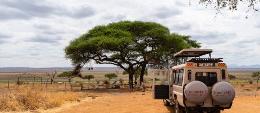 droomreis tanzania safari auto met de eur open en het dak omhoog bij een picknickplek op de serengeti