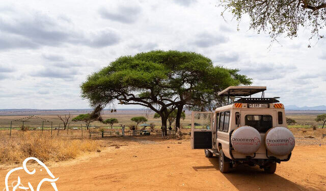 safari auto van droomreis tanzania bij een picknickplek op de serengeti