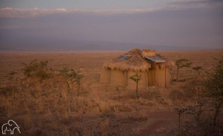 masai hutje bestaande uit klei en gedekt met riet in de open vlakte van Tanzania