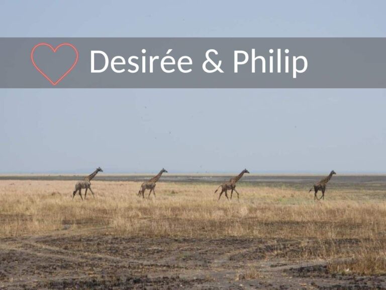 Huwelijksreis Tanzania. Vier giraffen die achter elkaar aan over de vlaktes van de Serengeti lopen