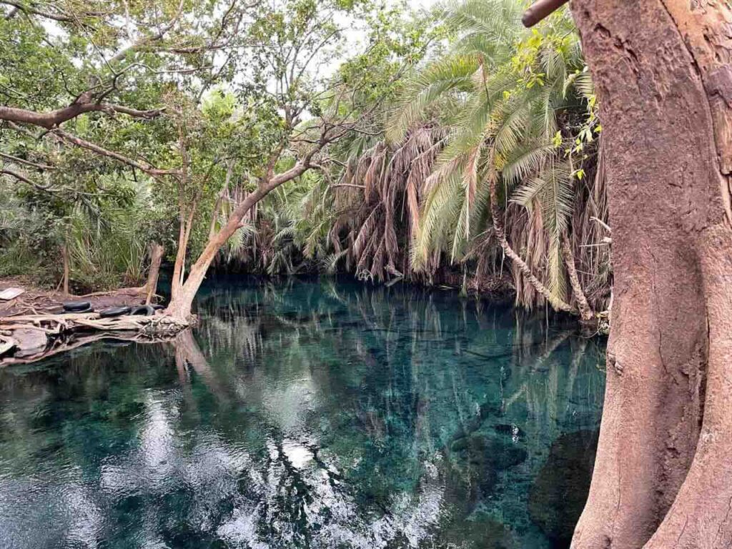 azuurblauwe hotspring Chemka Tanzania met bomen rondom