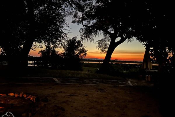 zonsondergang met op de voorgrond een kampvuur en daarachter bossages en dan een oranje horizon