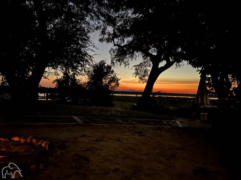 zonsondergang met op de voorgrond een kampvuur en daarachter bossages en dan een oranje horizon