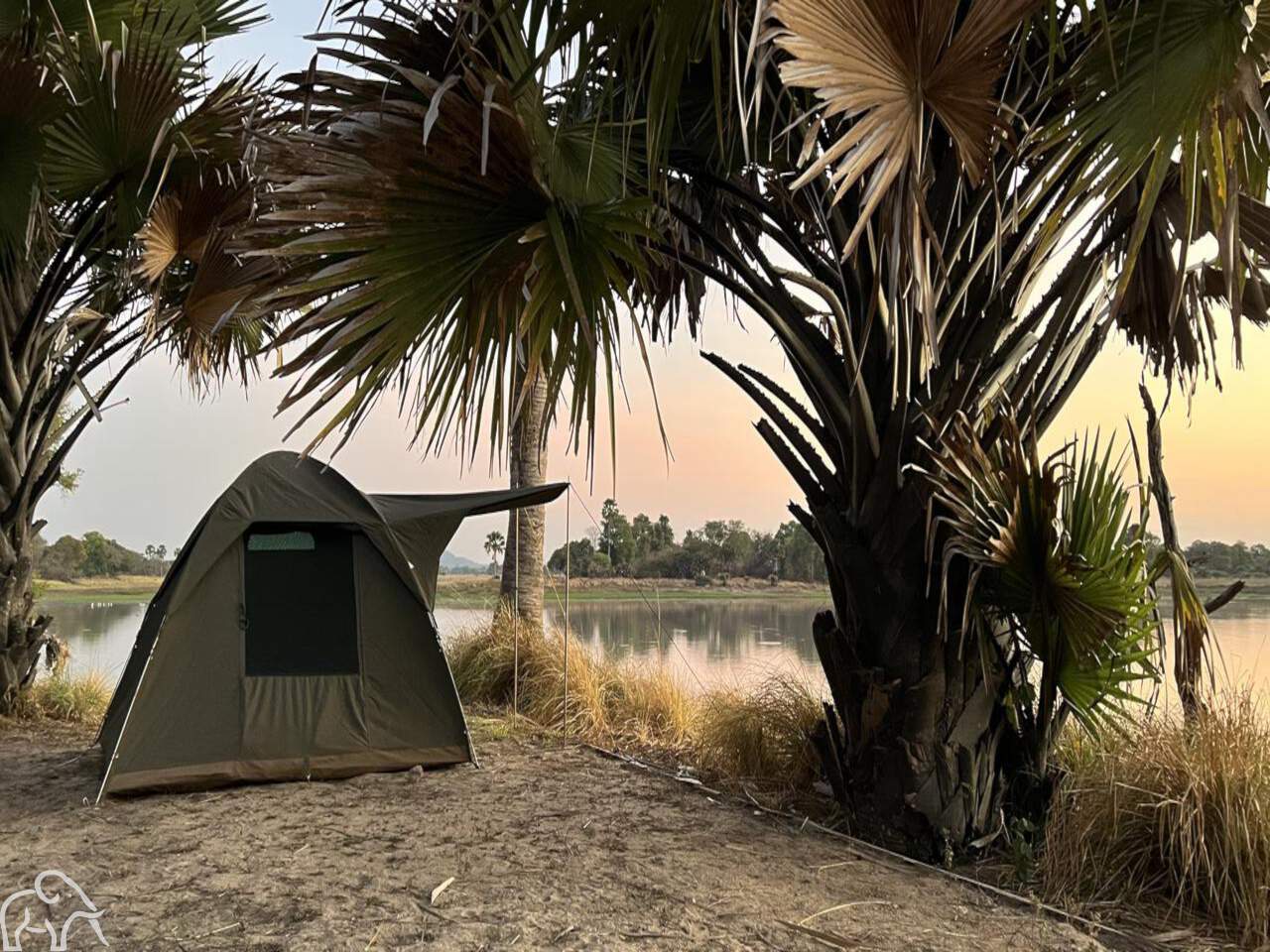 Safari Tanzania. Op een special campsite staat een safari tentje onder een palmboom aan de Ugalla rivier. 
