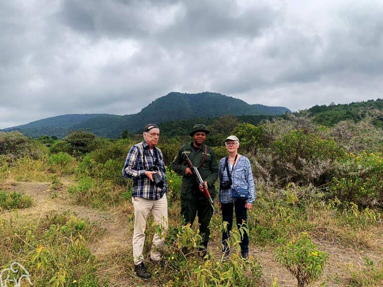 Wandelsafari Tanzania in Arusha National Park. 2 reizigers met een ranger zijn op wandelsafari.